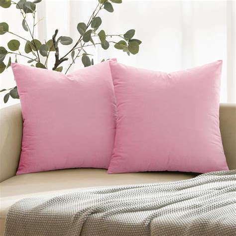 Amazon.com: ANRODUO Pack of 2 Velvet Baby Pink Throw Pillows Spring ...