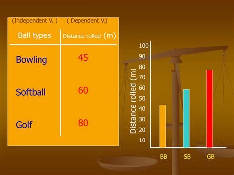 Image result for Example of Experiment