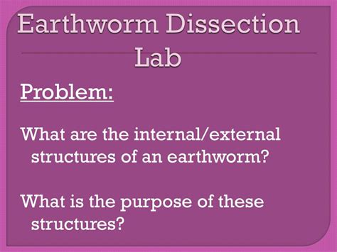 Image result for Free Virtual Earthworm Dissection Lab
