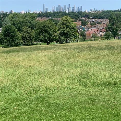 Blythe Hill Fields (London) - 2022 What to Know Before You Go (with ...