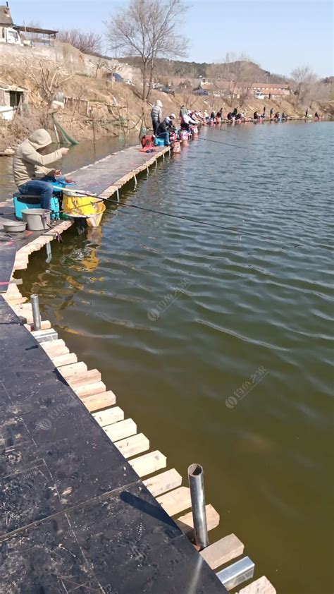 威海钓场_威海钓场大全_威海哪里能钓鱼 - 钓鱼之家