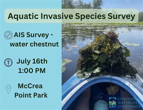 Aquatic Invasive Species Survey , McCrea Point, Jamestown, 16 July 2025 ...