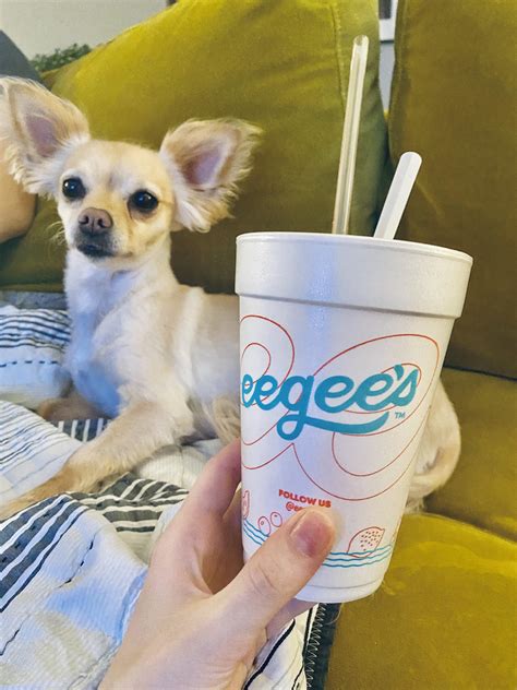 Which is best? Homemade vanilla vs vanilla Bean vs French vanilla : r ...