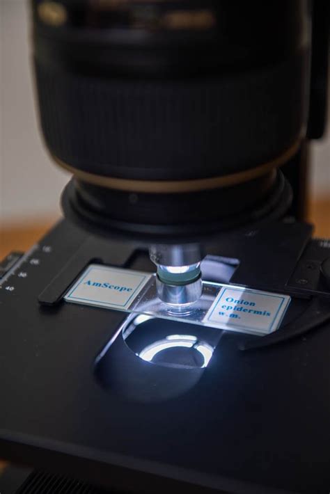 Big Microscope 的图像结果