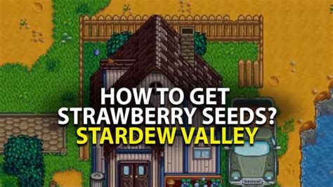 Where to get Strawberry seeds in Stardew Valley?