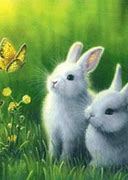 Image result for Baby Rabbit Art