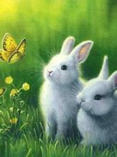 Image result for Realistic Bunny Art