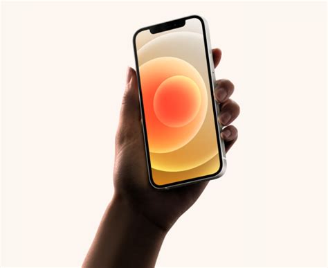 Image result for IPhone 12 Recovery Mode