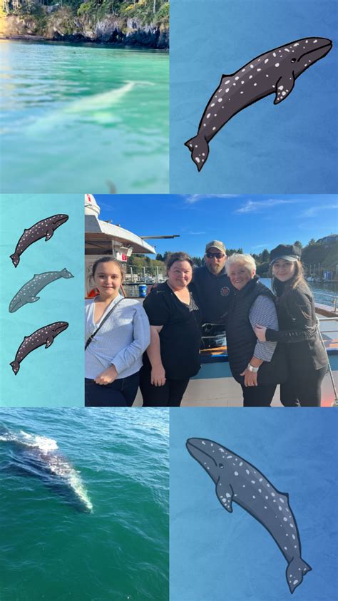 Tradewinds Charters 的图像结果