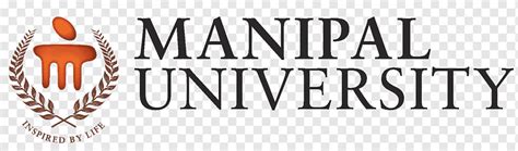 Image result for Program Overview Sample
