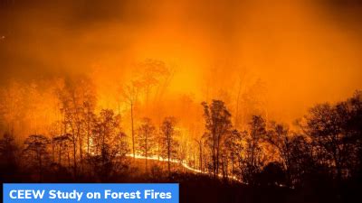 CEEW Study on Forest Fires – GKToday