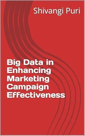 Big Data in Enhancing Marketing Campaign Effectiveness eBook : Puri ...
