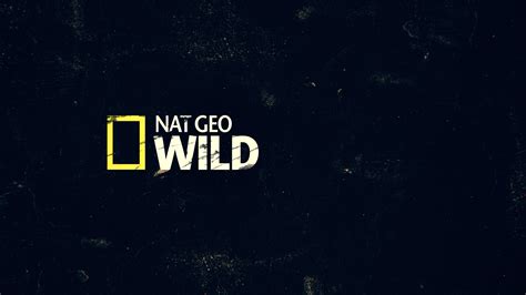 National Geographic Logo Wallpapers - Wallpaper Cave