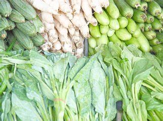 （代发）御之厨绿色有机蔬菜一周一箱季度套餐【配送区域：广东省内】 - 宜和购物商城
