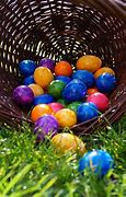 Image result for Fluffy Easter Basket Bunnies