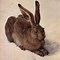 Image result for Bunny Sitting Up