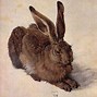 Image result for Cute Little Bunny