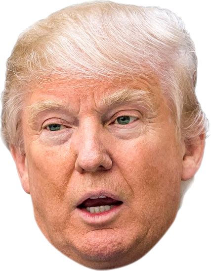 Donald Trump PNG, Donald Trump Transparent Background - FreeIconsPNG
