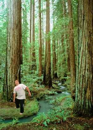 Classroom Green screen 的图像结果