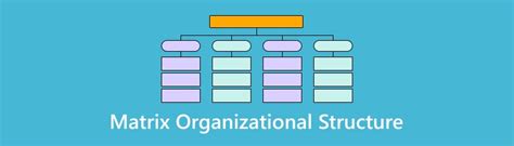 Image result for Matrix Organizational Structure Example