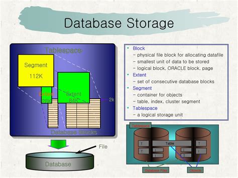 Oracle Database Programming 的图像结果