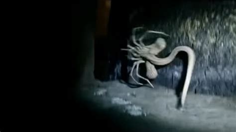 Image result for Alien Covenant Face