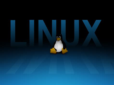 Image result for Linux Logo Design