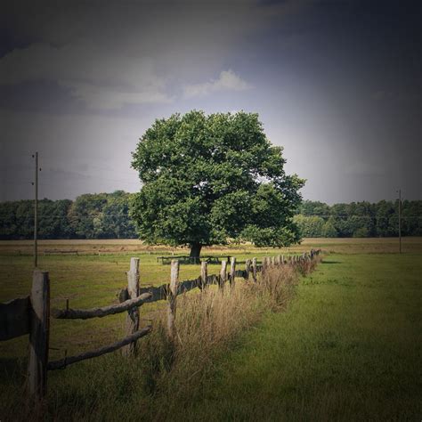 Conditions That Affect Peripheral Vision - La Jolla, CA - Vision Care