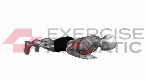 Exercise Animation 的图像结果