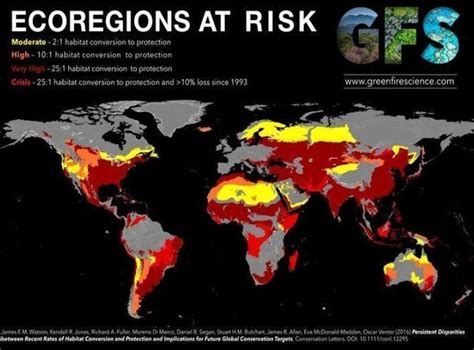 De Environment Map 的图像结果