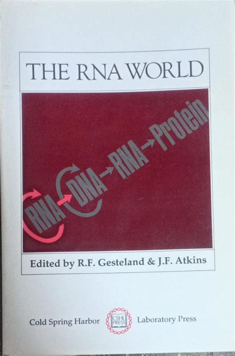 RNA World Explained 的图像结果