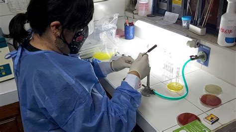 Image result for Microscan Training