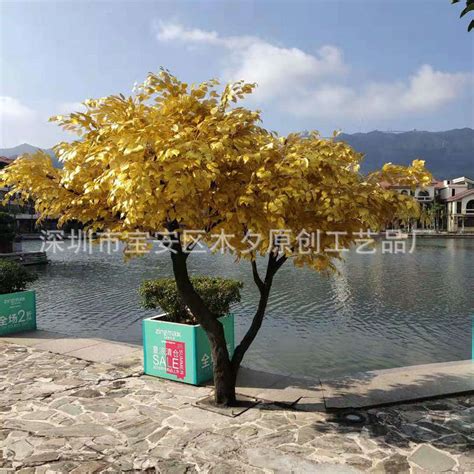 Muxi Simulation Banyan Tree School Simulation Banyan Tree India | Ubuy