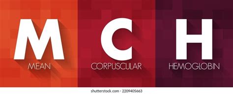 Image result for Sample Mean Normal Distribution Formula