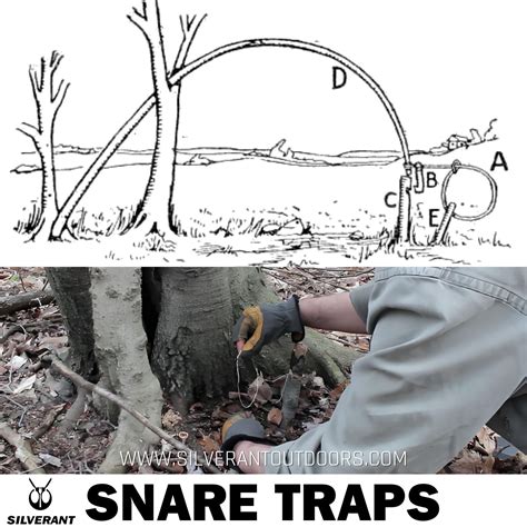 Snare Trap