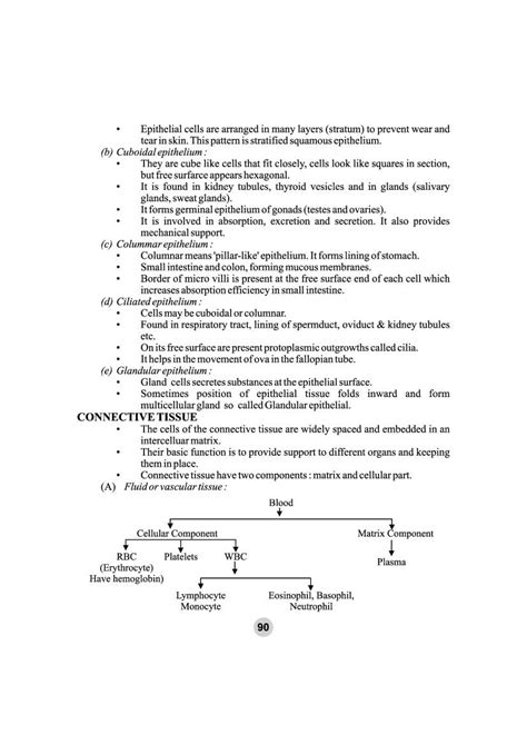 Class 9 Science Tissue 的图像结果