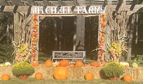 Collins Mississippi History at Piper Walton blog