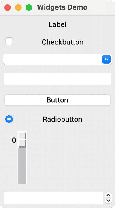 Python Tkinter Widgets 的图像结果