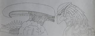 Image result for Alien vs Predator Drawing Refrence