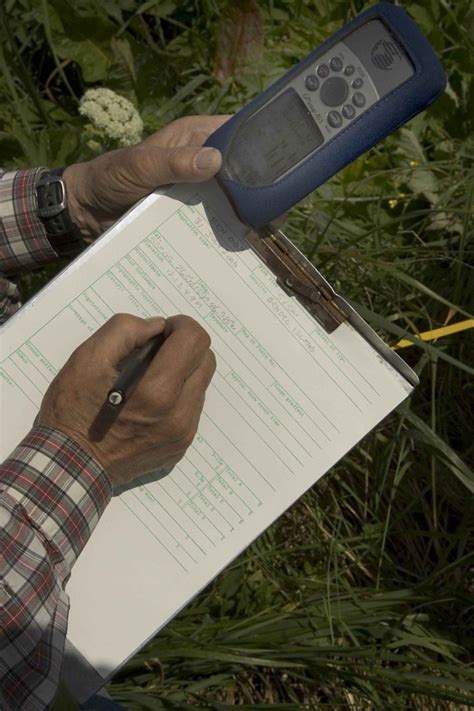 Lab Data Collection 的图像结果