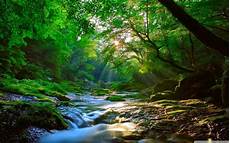 Wallpaper 1440x900 Hd by New 900 1440x900 Wide Hd Wallpapers Images Wallpaper 1440x900 Hd