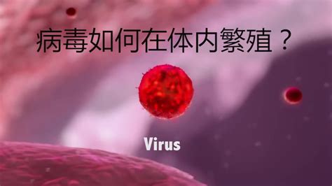 冠状病毒的特征----中国科学院