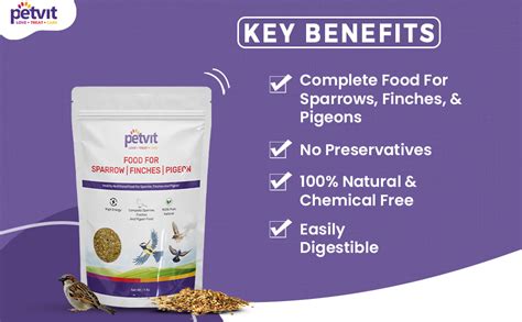 Buy Petvit Nutritional Food for Sparrow, Finches, Pigeons, and Wild ...