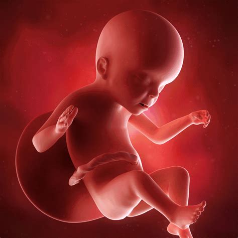 怀孕22周，产检被查出“鸟面宝宝”！千万别错过3次筛查胎儿畸形机会
