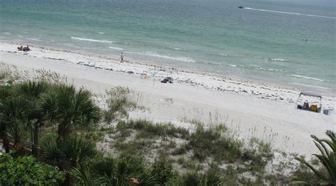 THE ROSE RESORT (Indian Shores) - Apartment Reviews & Photos - Tripadvisor