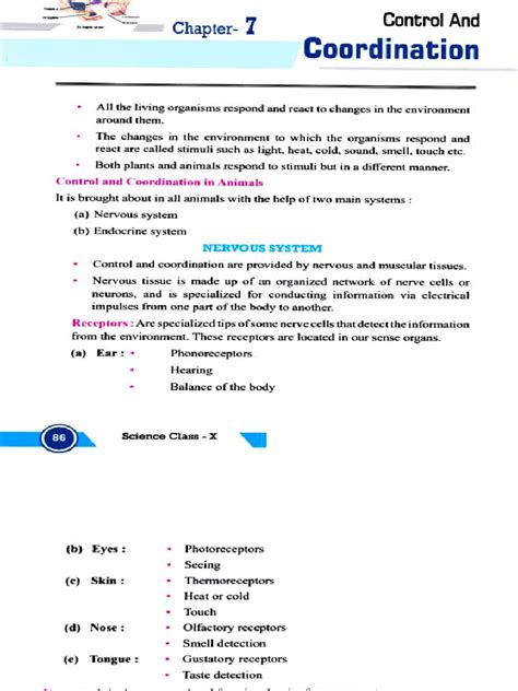 Image result for Control and Coordination Notes From PDF