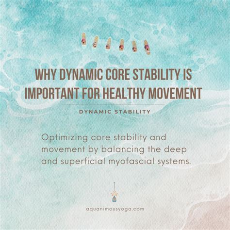Image result for Dynamic Stability