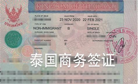 人在中国，如何办理泰国商务签证入境泰国？_检测