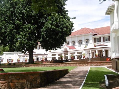 Open Back Side 的图像结果