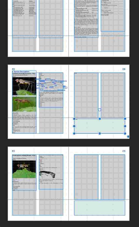 Image result for Affinity Publisher Text Frame Shape